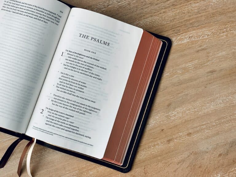 Meaning of Psalm 23:5