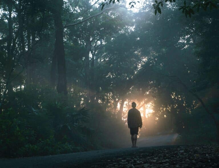 The Meaning Of Psalm 119:105